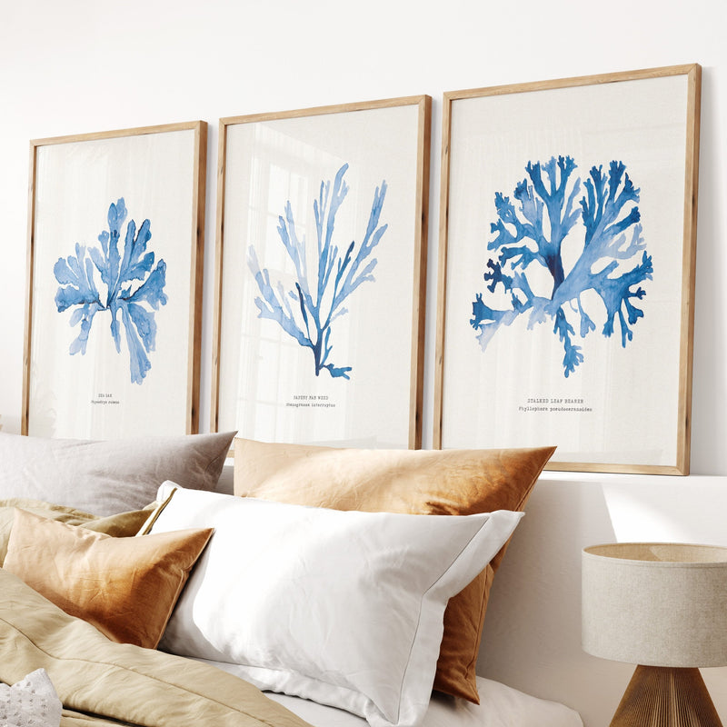 Indigo Seaweed Print | Seaweed Art (Sea Oak) - Unframed