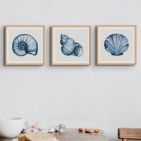 Indigo Shell Painting | Watercolour Nautilus Shell Print | Shell Art - Unframed Art Print