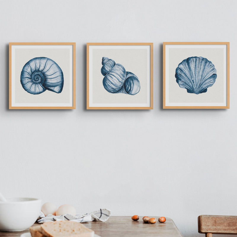 Indigo Shell Painting | Watercolour Nautilus Shell Print | Shell Art - Unframed Art Print