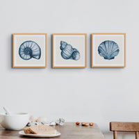 Indigo Watercolour Shell Painting | Shell Art Print - Framed Wall Art