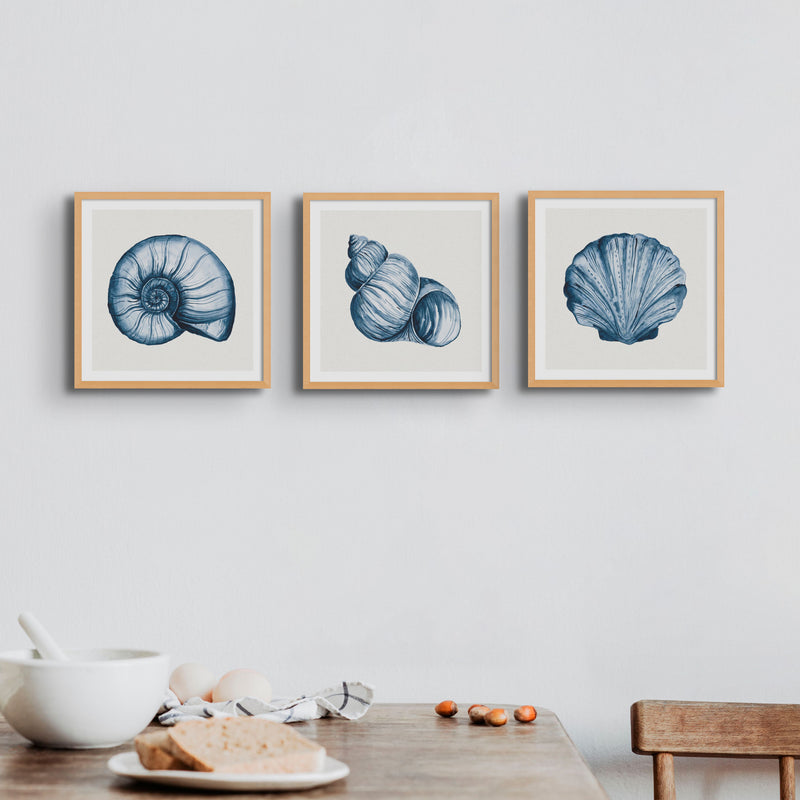 Indigo Watercolour Scallop Shell Painting | Shell Art Print - Framed Wall Art