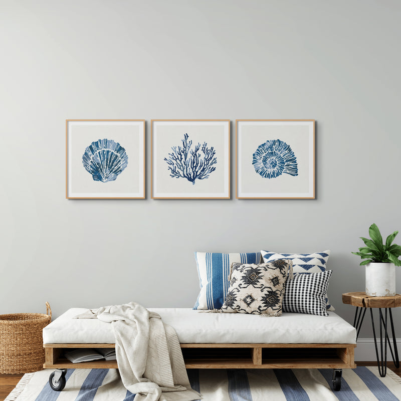 Set of three coastal shell prints above a white sofa in a beachy living room