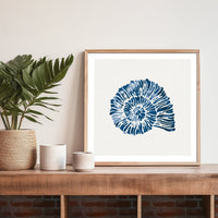 Indigo Spiral Shell Art Print | Watercolour Shell Art - Unframed