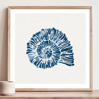 Indigo Spiral Shell Art Print | Watercolour Shell Art - Unframed