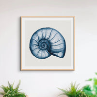 Indigo Shell Painting | Watercolour Nautilus Shell Print | Shell Art - Unframed Art Print