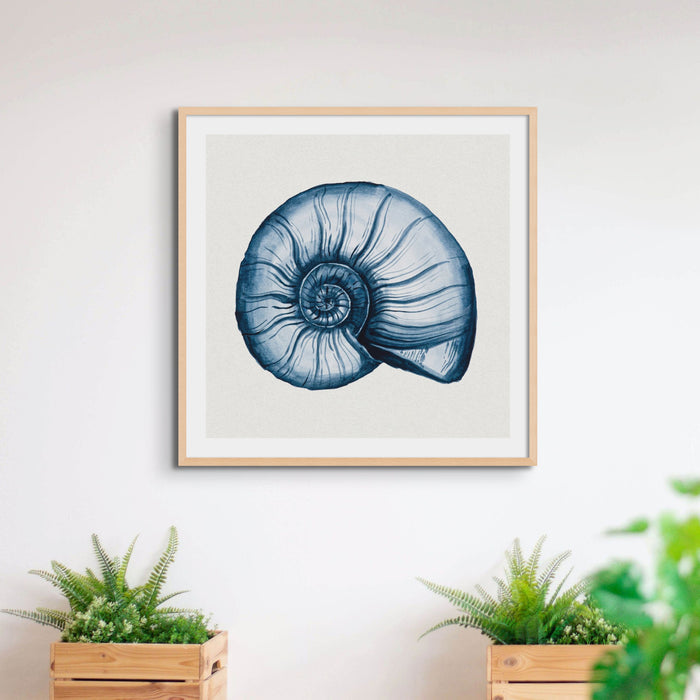 Indigo Shell Painting | Watercolour Nautilus Shell Print | Shell Art - Unframed Art Print