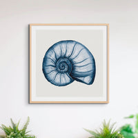 Indigo Watercolour Nautilus Shell Painting | Shell Art - Framed Wall Art