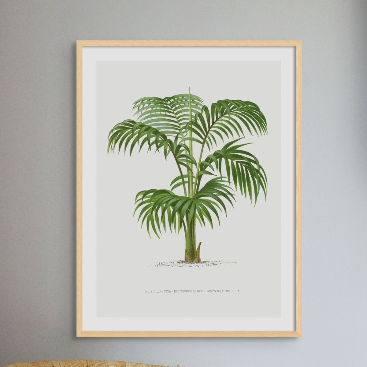 Set of Three Palm Tree Prints - Framed - Beach House Art