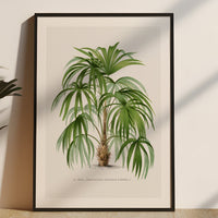 Set of Three Palm Tree Prints - Framed - Beach House Art