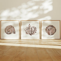 Set of Three Mocha Coral and Shell Art Prints  - Unframed