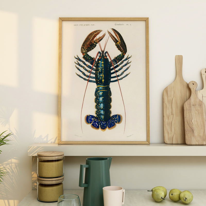 Vintage Lobster Print | Shellfish Wall Art - Framed