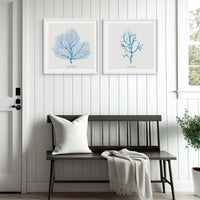 Coral Art | Fan Coral - Unframed - Beach House Art