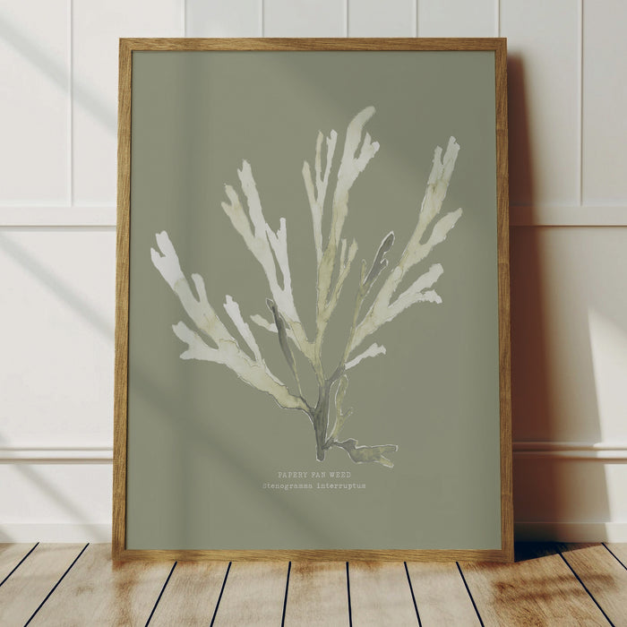 Olive Green Seaweed Art Print | Botanical Wall Decor | Papery Fan Weed - Framed