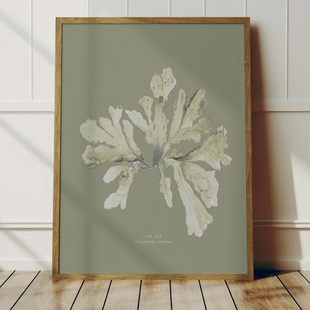 Olive Green Seaweed Art Print | Botanical Wall Decor | Sea Oak - Unframed