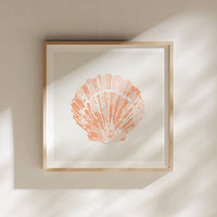 Set of Three Peach Coral and Shells Prints in  Peach - Unframed