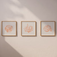 Set of Three Peach Coral and Shells Prints in  Peach - Unframed