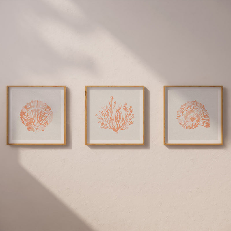 Set of Three Peach Coral and Shells Prints in  Peach - Unframed