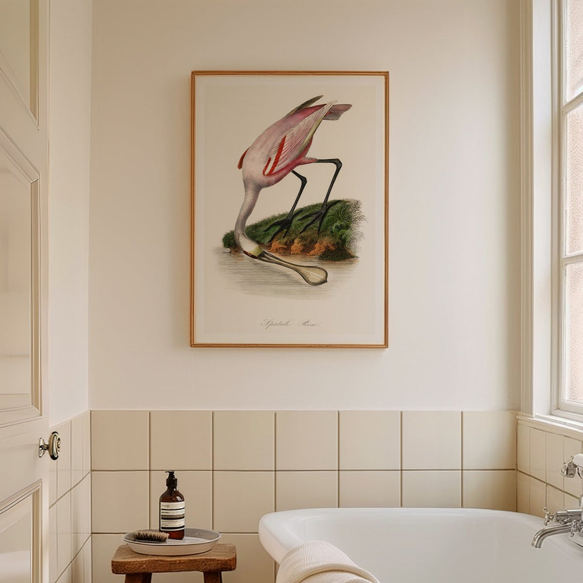 Spoonbill (Pink) Vintage Bird Art Print - Unframed