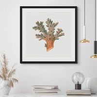 Reef Coral Print No 2 | Vintage Coral Print Wall Art - Framed