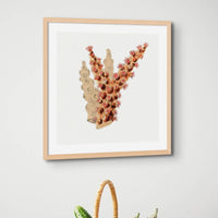 Reef Coral Print No 3 | Vintage Coral Wall Art - Framed