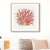 Reef Coral Print No 4 | Vintage Coral Art Print - Unframed