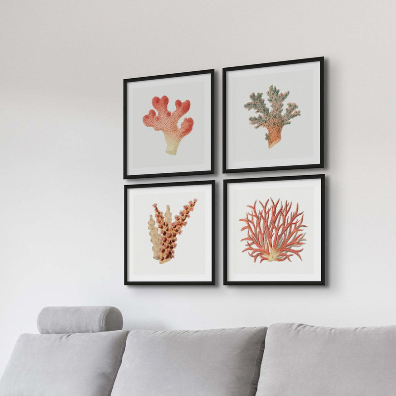 Reef Coral Print No 4 | Vintage Coral Art Print - Unframed