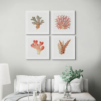 Reef Coral Print No 1 | Vintage Coral Art Print - Framed