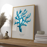 Set of Three Coral Art Prints - Framed