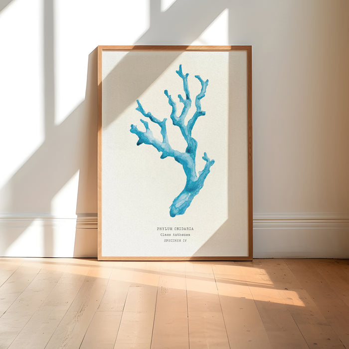 Coral Wall Art | Sea Blue Art Print | Specimen 4 - Unframed Beach House Art