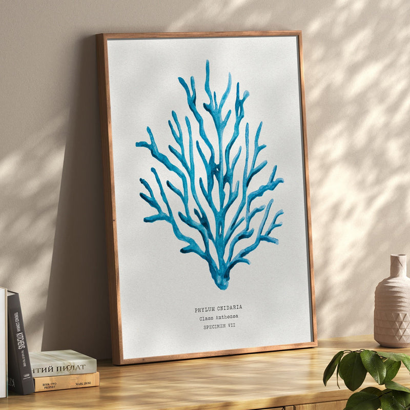 Coral Wall Art | Sea Blue Art Print | Specimen 7 - Framed Beach House Art