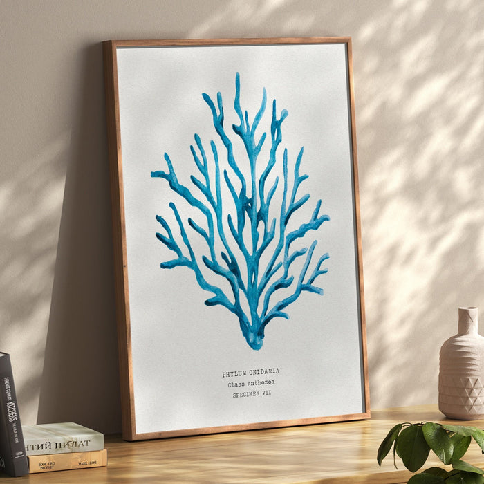 Coral Wall Art | Sea Blue Art Print | Specimen 7 - Unframed Beach House Art