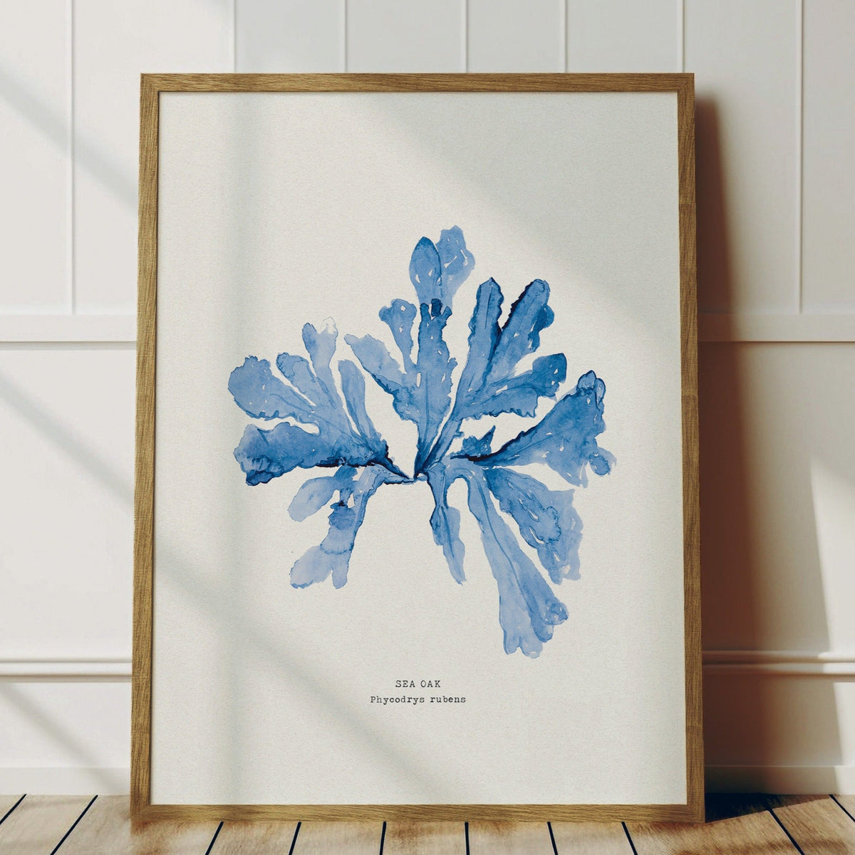 sea oak seaweed painting in blue - botanical art print 