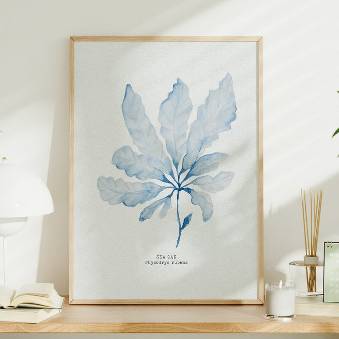 Blue Watercolour Seaweed Art Print | Sea Oak Seaweed Painting  - Framed