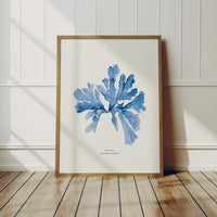 indigo sea oak seaweed painting framed in natural oak wooden frame. sea oak seaweed print