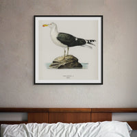 Seagull Painting | Vintage Bird Art Print - Framed