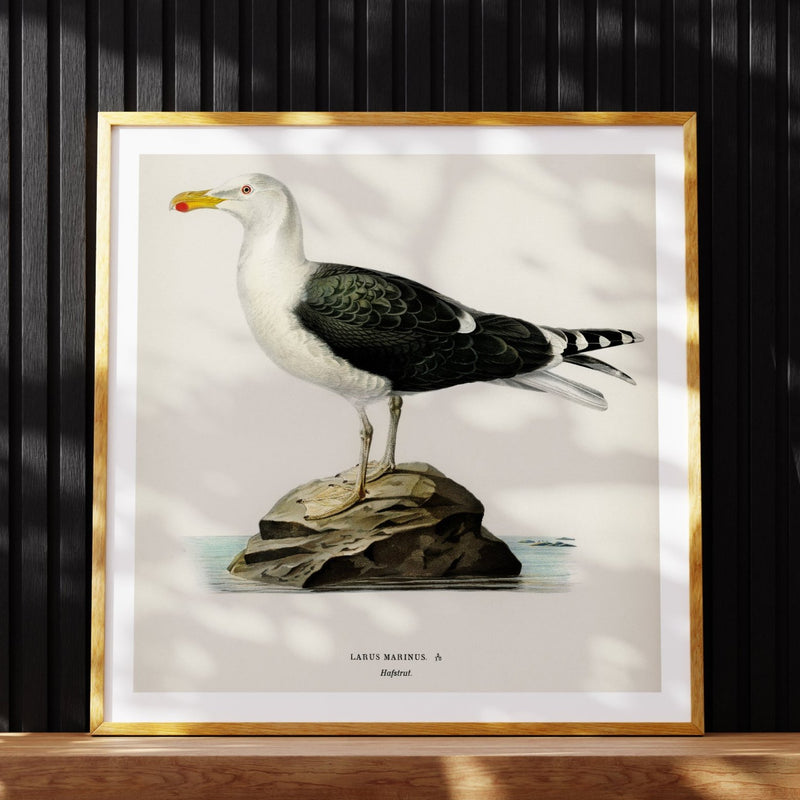 Seagull Painting | Vintage Bird Art Print - Unframed