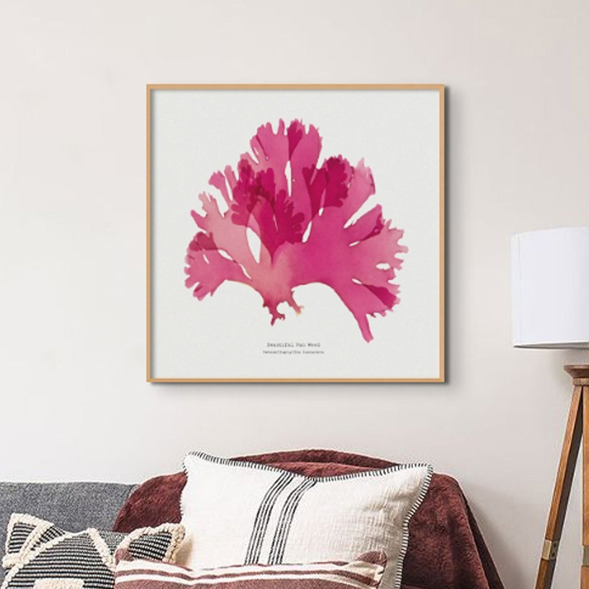 Beautiful Fan Weed No 2 Seaweed Print |Pressed Seaweed Art - Unframed