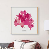 Set of Three Red Seaweed Art Prints Square - Unframed Beach House Art