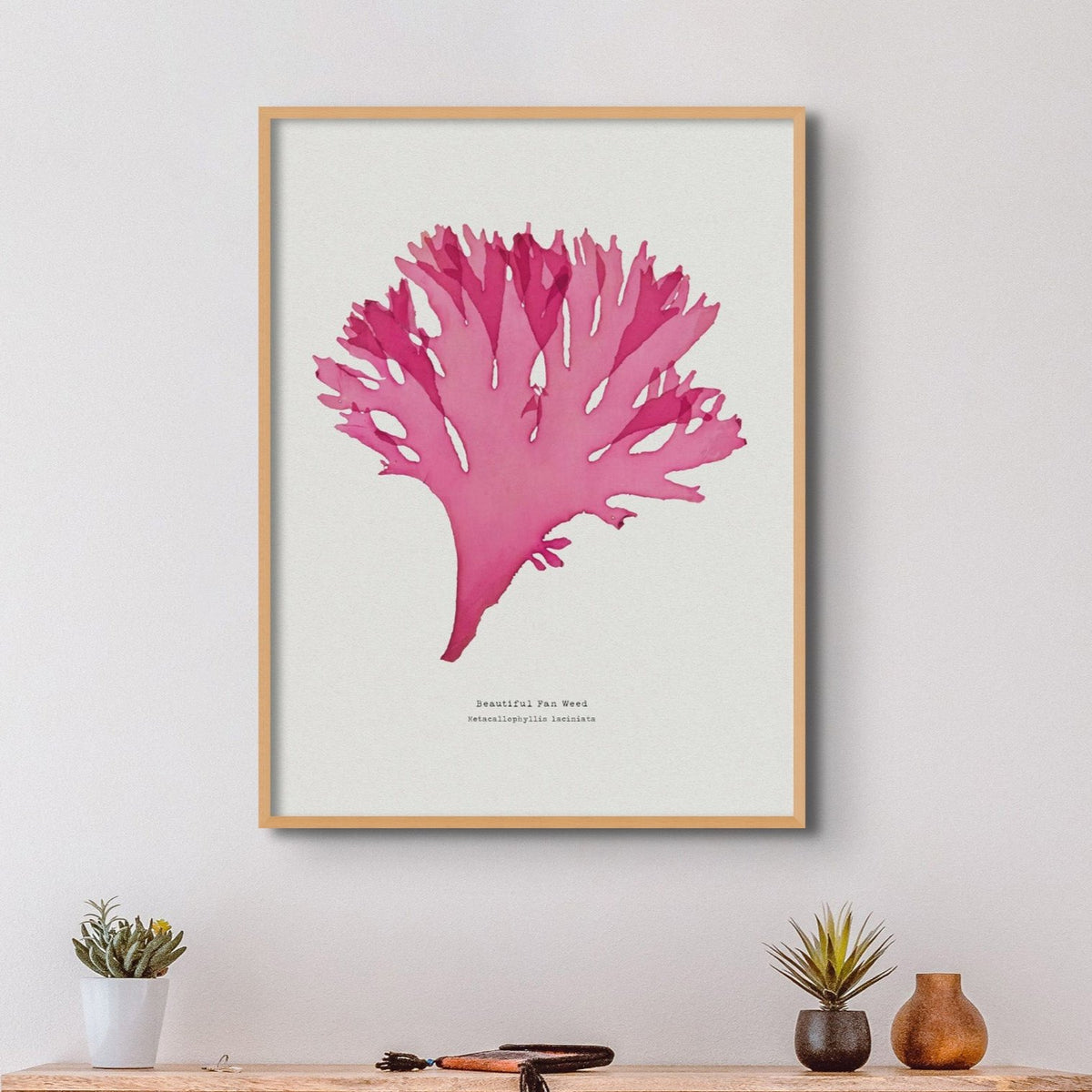 Beautiful Fan Weed No 3 Seaweed Print |Pressed Seaweed Art - Framed