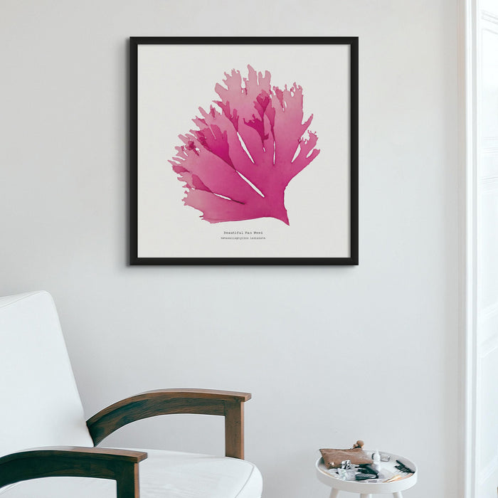 Beautiful Fan Weed No 1 Seaweed Print |Pressed Seaweed Art - Unframed