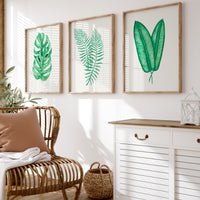 Tropical Leaf Artwork No 1 | Green Botanical Wall Art - Unframed