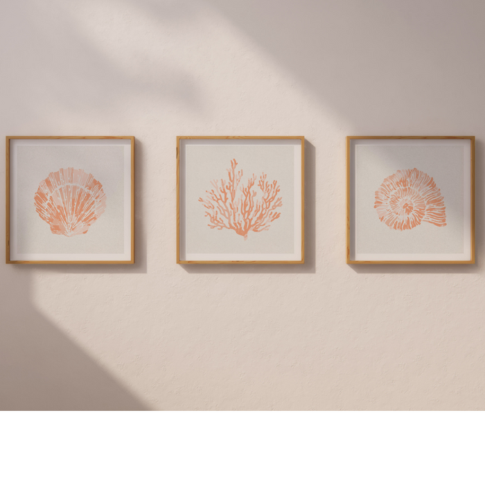 Set of Three Peach Coral and Shells | Peach - Unframed