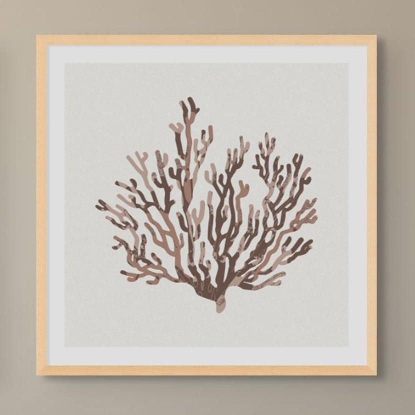 Set of Three Mocha Coral and Shell Art Prints  - Unframed