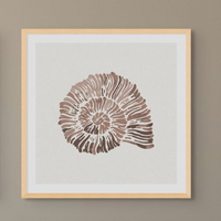 Set of Three Mocha Coral and Shell Art Prints  - Unframed