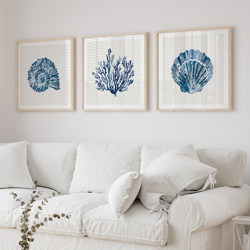 Set of three coastal shell prints above a white sofa in a beachy living room