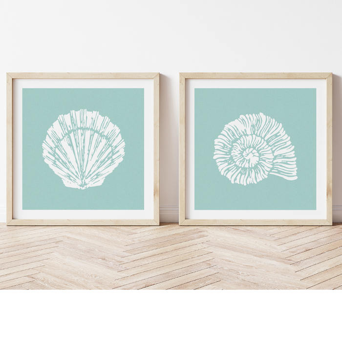 Set of Two Shell Prints | Set of two square shell prints on textured blue background 