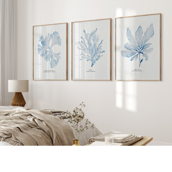 Set of Three Blue Seaweed Prints | Coastal Wall Art Set - Unframed