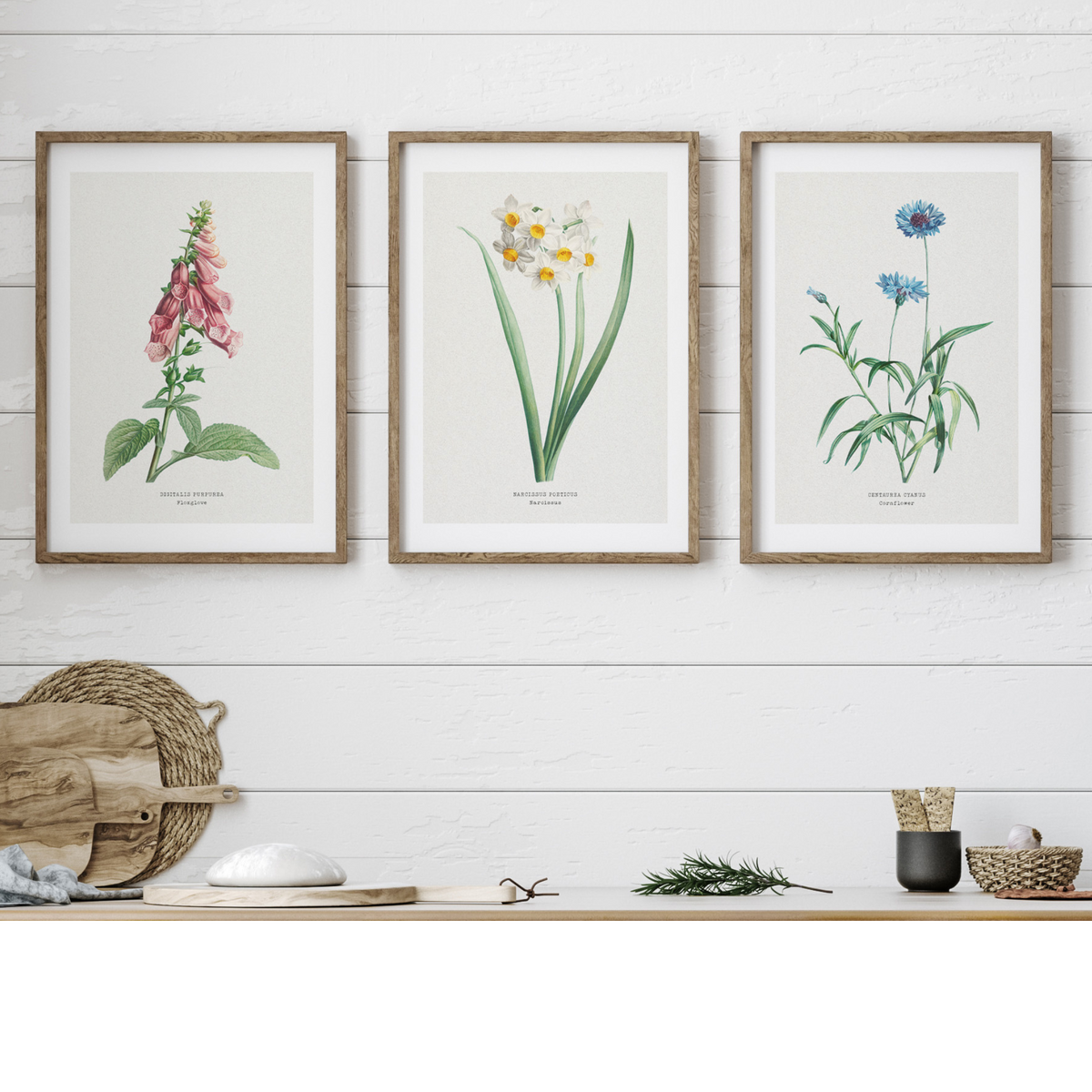 Set of Three Vintage Flower Prints - Unframed Vintage flower paintings