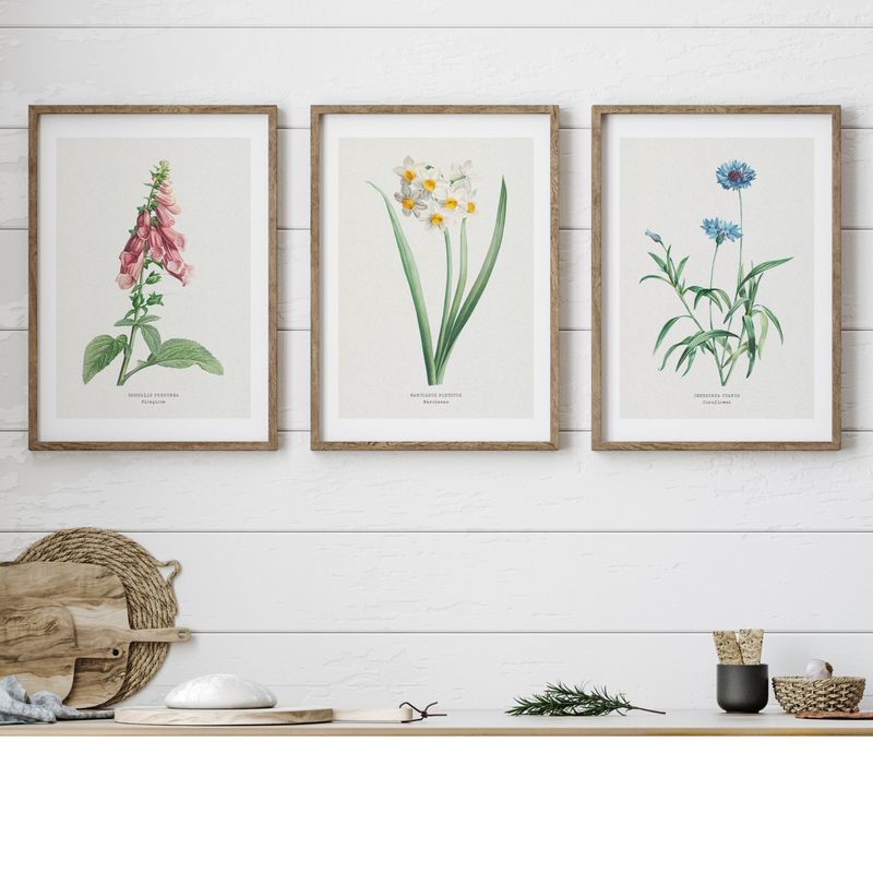Set of Three Vintage Flower Prints - Framed - Beach House Art