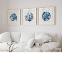 Set of three coastal shell prints above a white sofa in a beachy living room